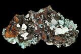 Aurichalcite and Calcite Association - Utah #146190-1